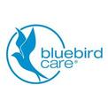 Bluebrid Care Manchester 