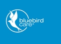 Bluebird Care Camden Hampstead