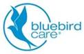 bluebird care (hull and beverley)