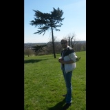 Live in care Profile - 10822