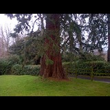 Live in care Profile - 16851