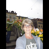Live in care Profile - 23912