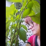 Live in care Profile - 18832