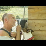 Live in care Profile - 29317