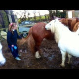 Live in care Profile - 17721