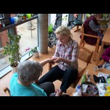 Live in care Profile - 11869