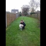 Live in care Profile - 16335