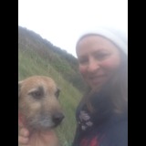Live in care Profile - 28910