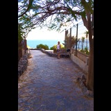 Live in care Profile - 16739