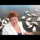 Live in care Profile - 9916