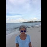 Live in care Profile - 22310