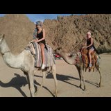 Live in care Profile - 10597