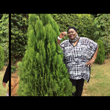 Live in care Profile - 12822
