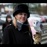 Live in care Profile - 21913