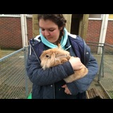 Live in care Profile - 26251