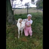 Live in care Profile - 26159