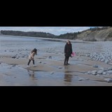 Live in care Profile - 10772